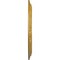 Ekena Millwork Caputo Ceiling Medallion (Fits Canopies up to 6"), Hand-Painted Iridescent Gold, 24 1/4"OD x 1 1/2"P CM24CAIGS - alternate 3